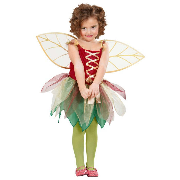 Fantasy Fairy  Dress, Wings 