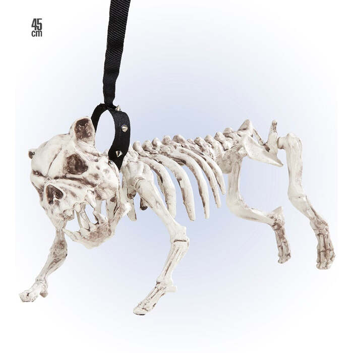 Skeleton Dog With Leash 45 Cm