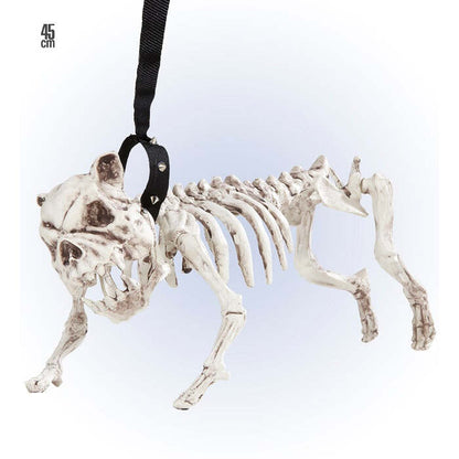 Skeleton Dog With Leash 45 Cm