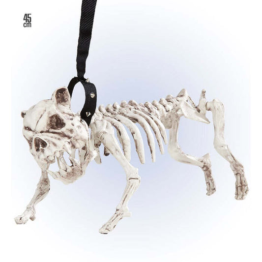 Skeleton Dog With Leash 45 Cm
