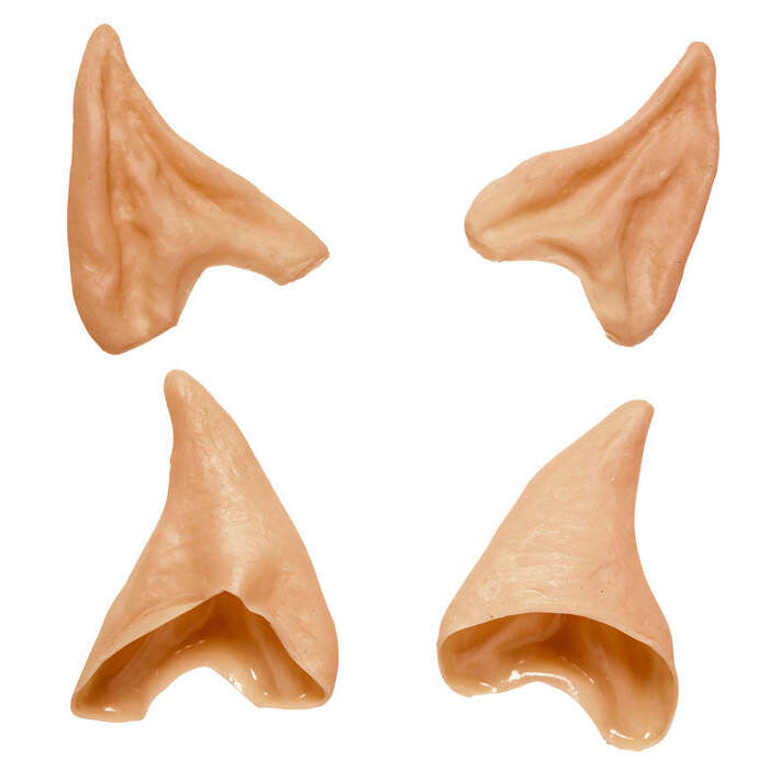 Ear Tips