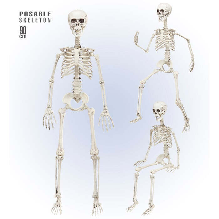 Posable Skeleton 90 Cm