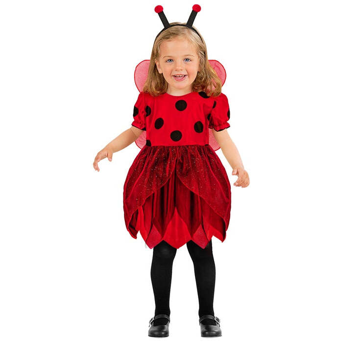 Ladybug  Dress, Wings, Antennas 