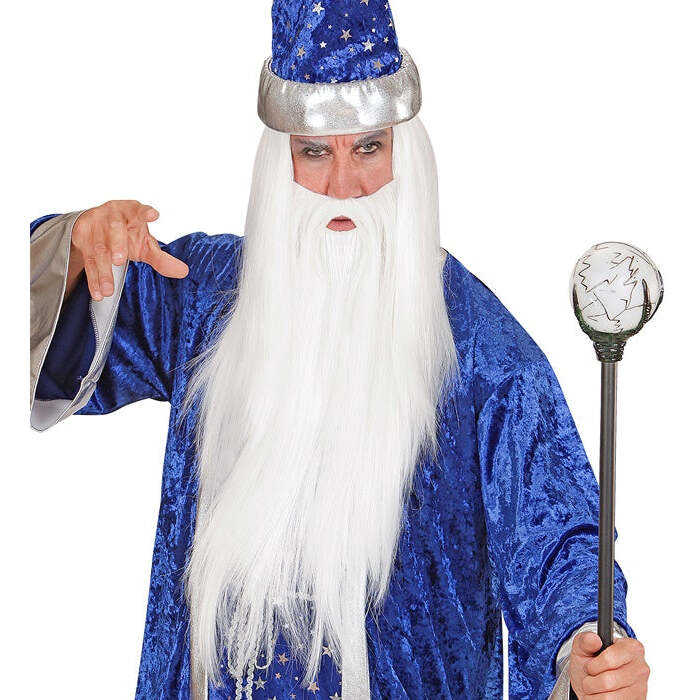 Wizard Wig & Beard In Polybag