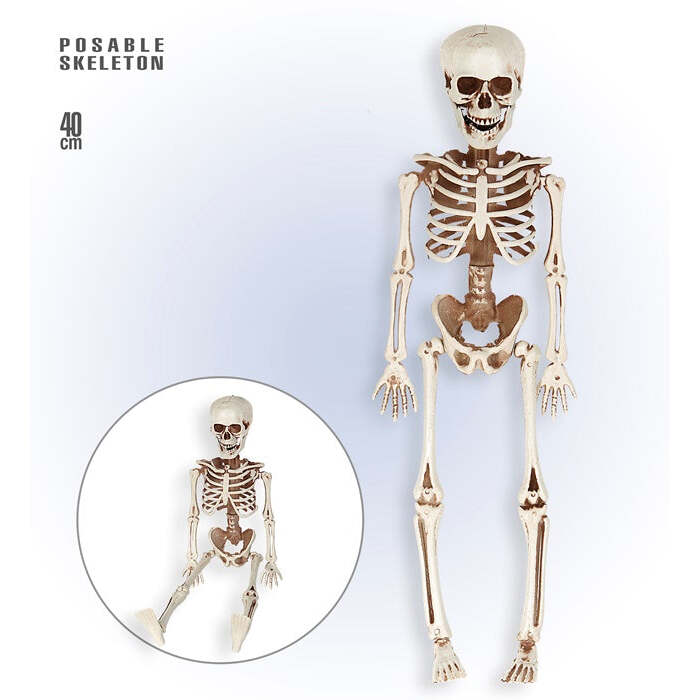 Posable Skeleton 40 Cm