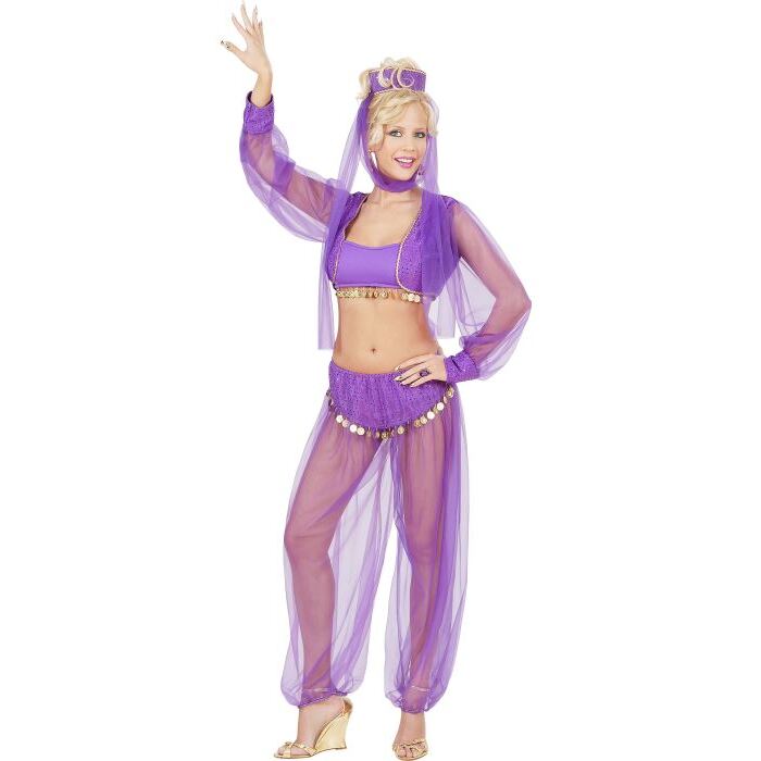 Harem Beauty  Top, Shirt With Vest, Pants, Headpiece With Veil 