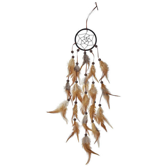 Native Indian Dreamcatcher