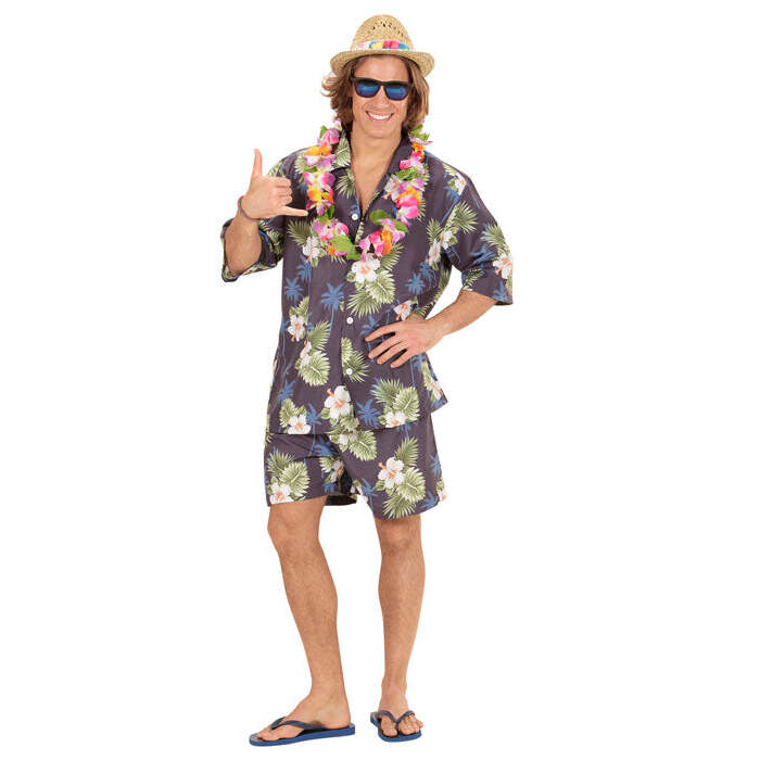 Hawaiian  Shirt, Shorts 
