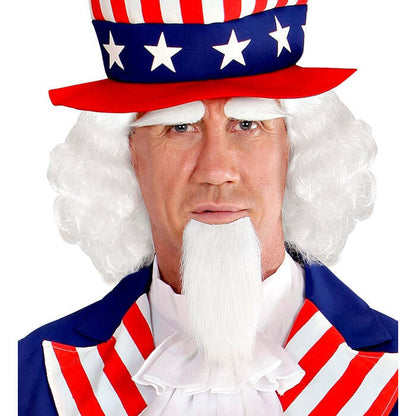 Mr. America Wig, Goatee Beard & Eye Brow In Box