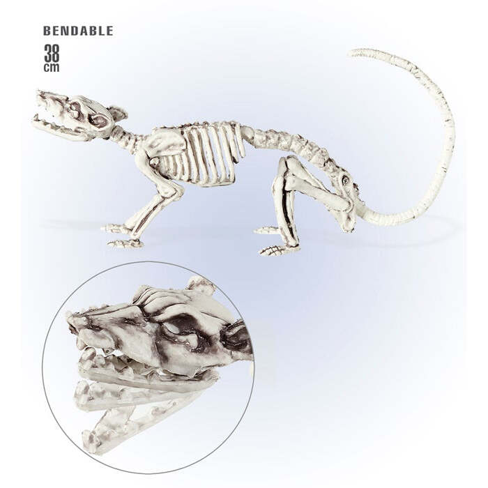 Bendable Rat Skeleton 38 Cm