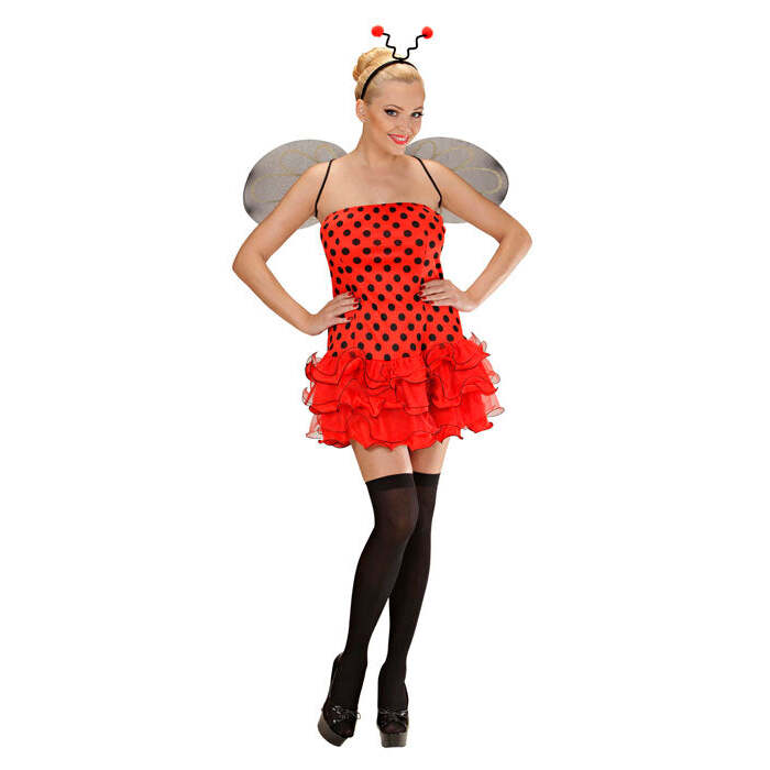 Ladybug  Dress, Wings, Antennas 