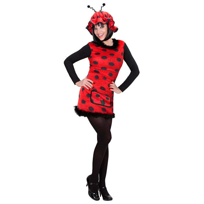 Ladybug  Dress, Hat 