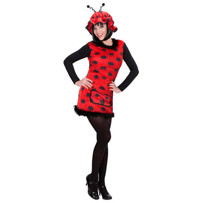 Ladybug  Dress, Hat 