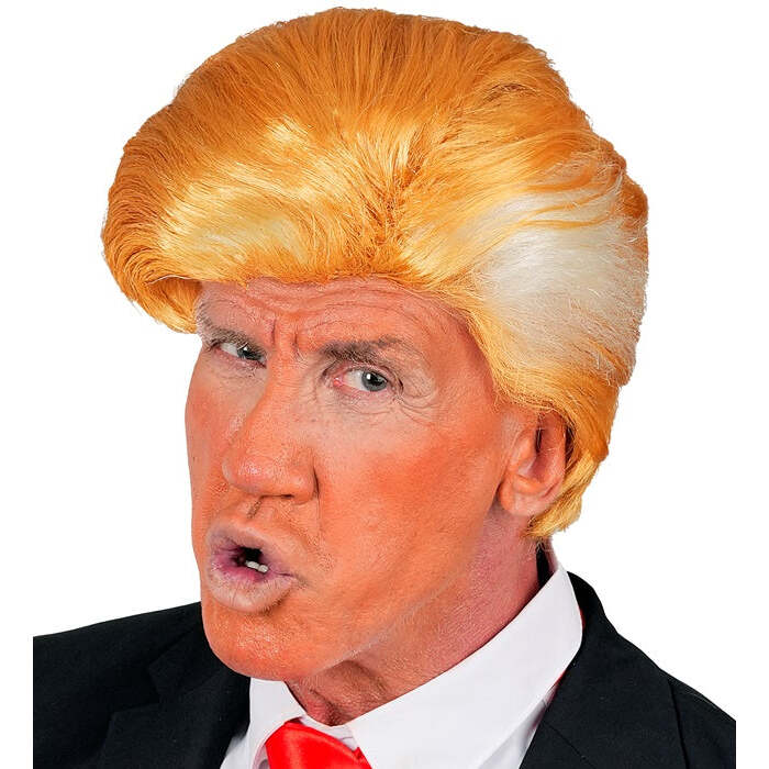 Wig Mr. President In Box