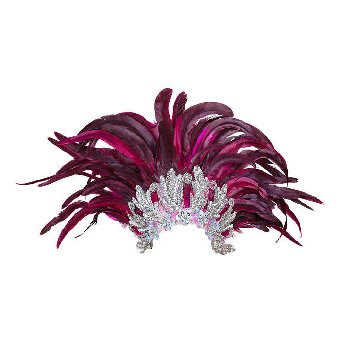 Rio Show Feather Headdress