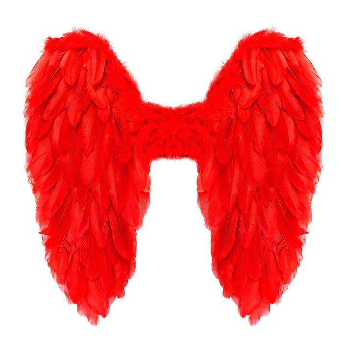 Red Foldable Feather Wings 50X50 Cm