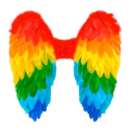 Rainbow Foldable Feather Wings 50X50 Cm