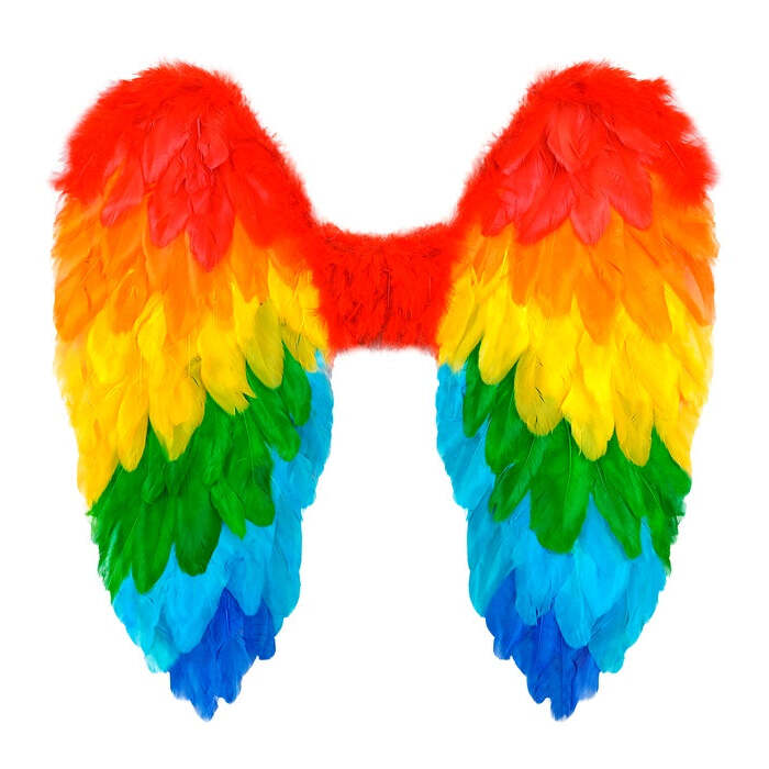 Rainbow Foldable Feather Wings 50X50 Cm