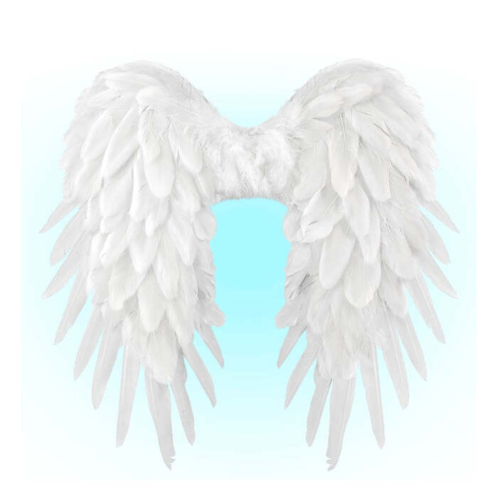 White Foldable Feather Wings 50X50 Cm