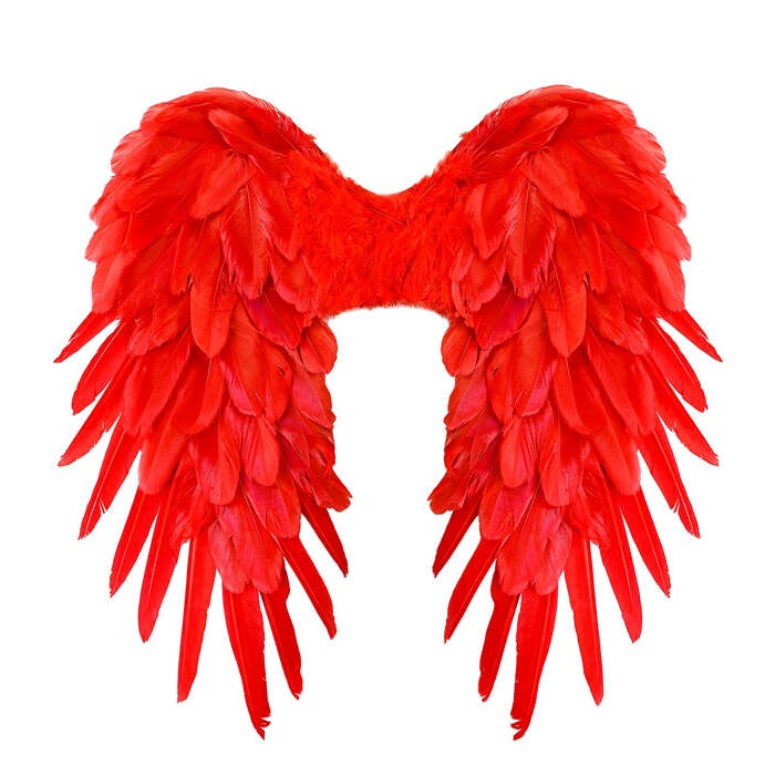Red Foldable Feather Wings 50X50 Cm