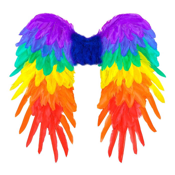 Rainbow Foldable Feather Wings 50X50 Cm