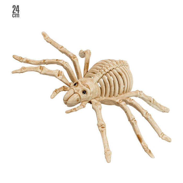 Spider Skeleton 24 Cm 
