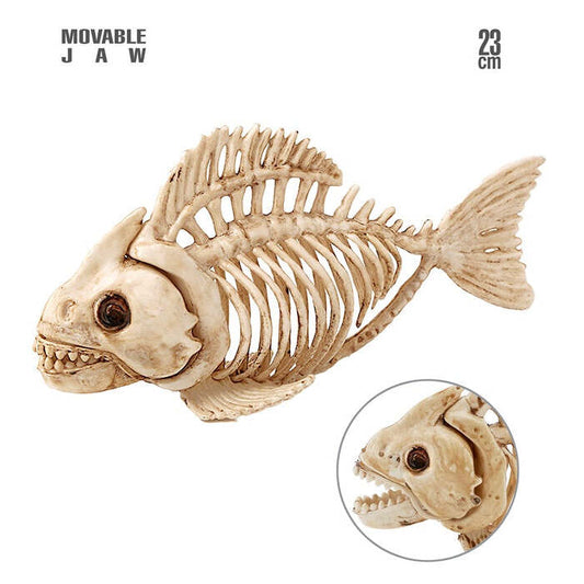 Fish Skeleton 23 Cm 