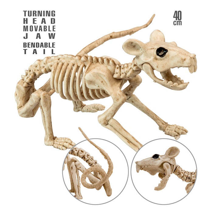 Rat Skeleton 40 Cm 