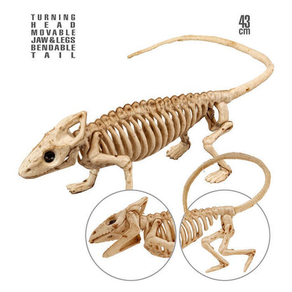 Iguana Skeleton 43 Cm 