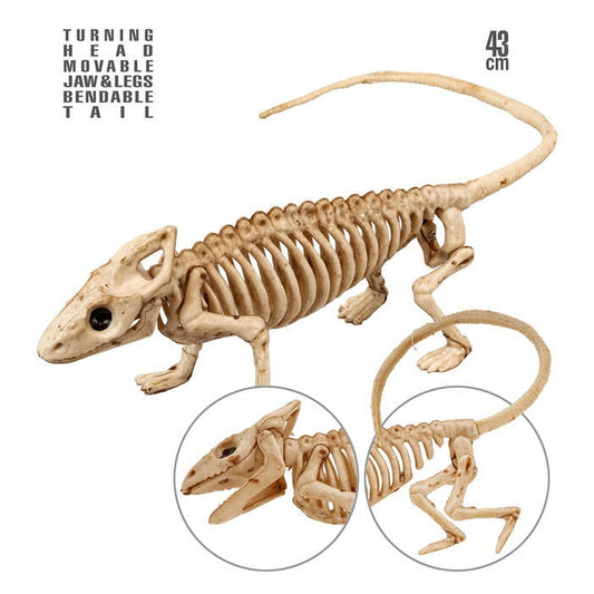 Iguana Skeleton 43 Cm 