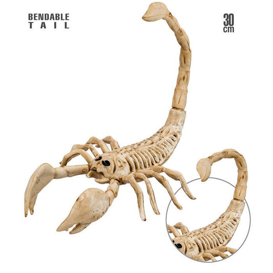 Scorpion Skeleton 30 Cm 