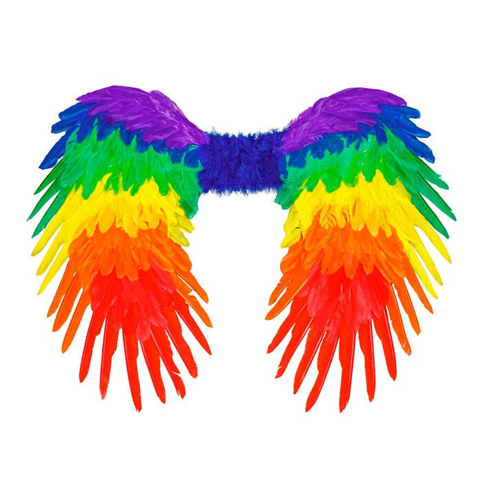 Rainbow Foldable Feather Wings 80X60 Cm