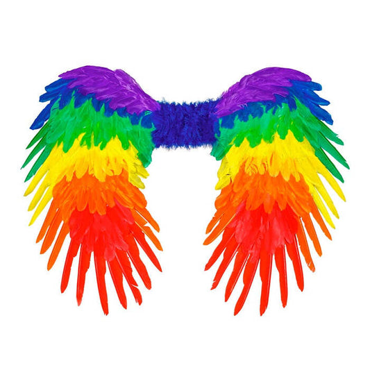 Rainbow Foldable Feather Wings 80X60 Cm