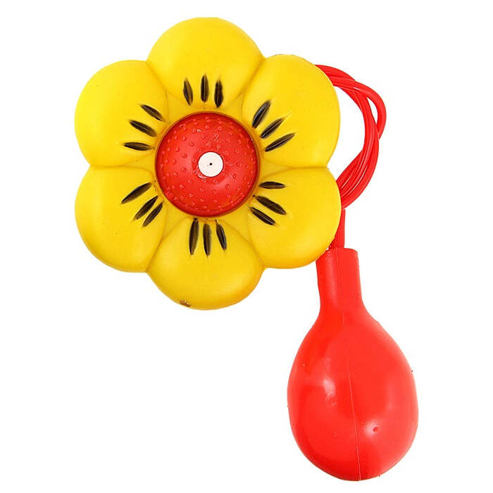 Giant Squirt Flower 12 Cm
