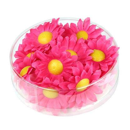 Box Of 20 Fuchsia Decorative Daisy Flowers