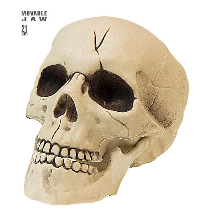 Pvc Skull With Movable Jaw 21 Cm