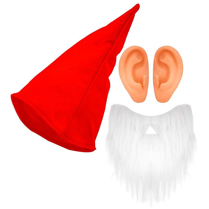 Red Dwarf  Hat, Beard, Ears 