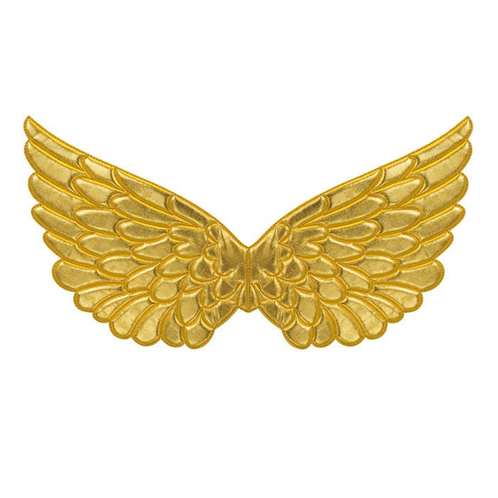 Gold Fabric Wings 57X26 Cm