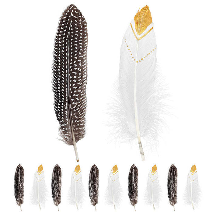 Set Of 12 Native Indian Feathers 2 Colors Ass.