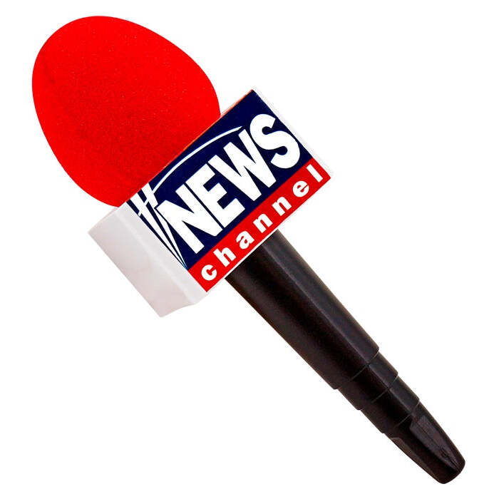 Breaking News Microphone 25 Cm   
