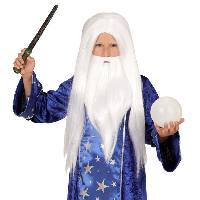 Wizard Wig With Beard In Box