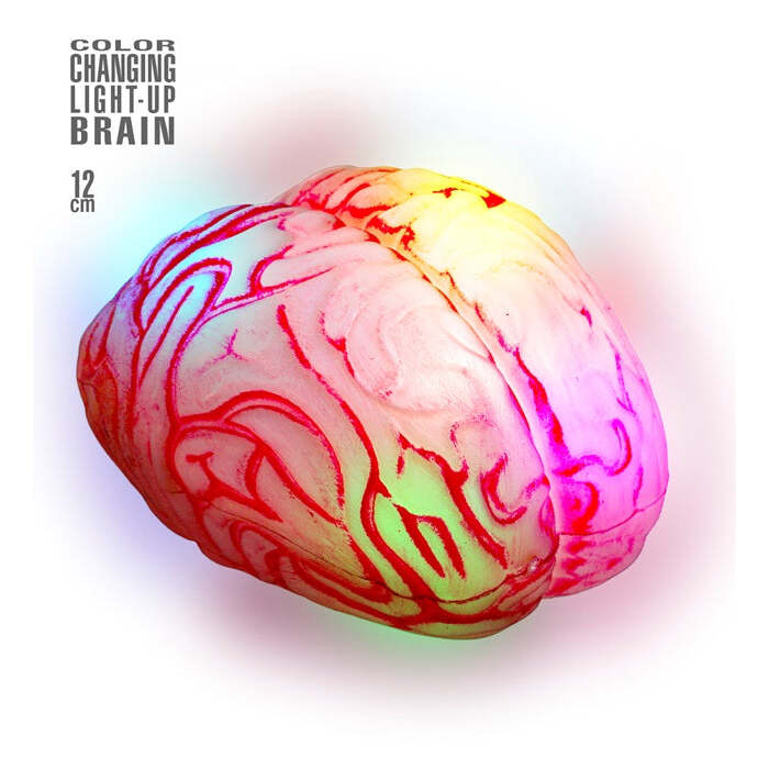 Cervello Luminoso Cambia Colore