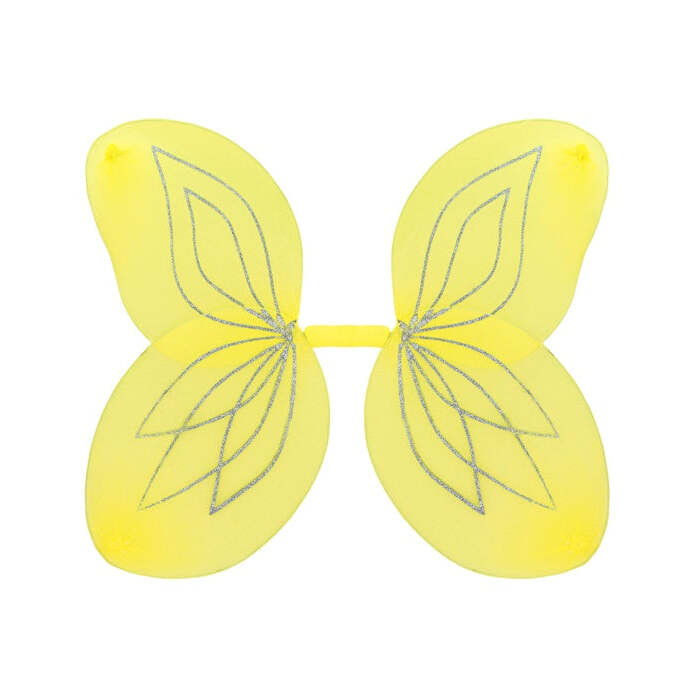 Yellow  Wings 58X46 Cm