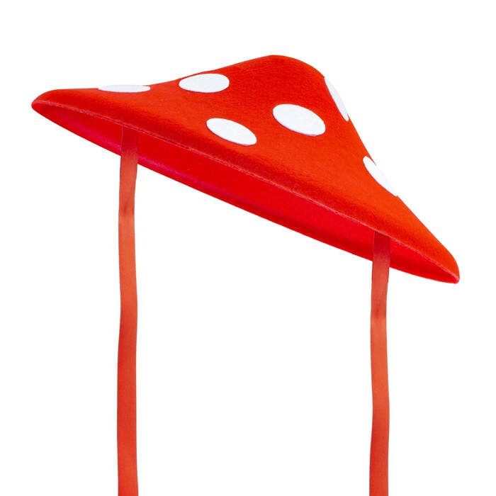 Mushroom Felt Hat