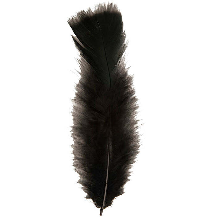 50 Feathers Black - Abt. 10 Cm