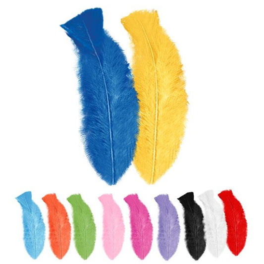 50 Feathers Multicolor - Abt. 10Cm