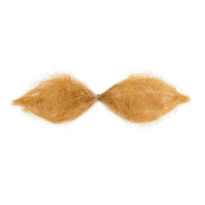 Blond Schnauzer Moustache