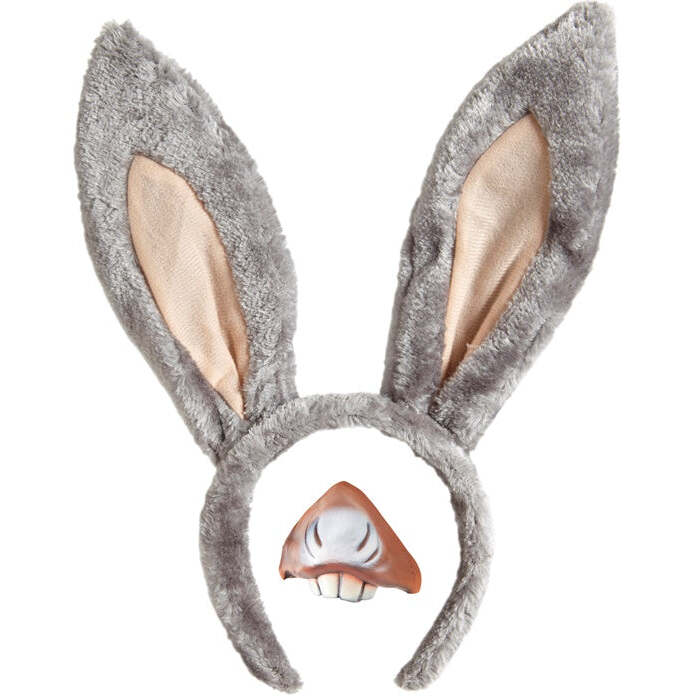 Donkey Sets  Ears, Mouth 