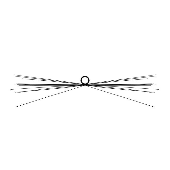Whiskers