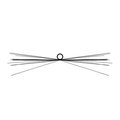 Whiskers